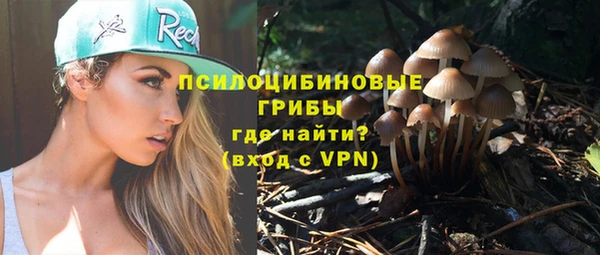 тгк Михайловск