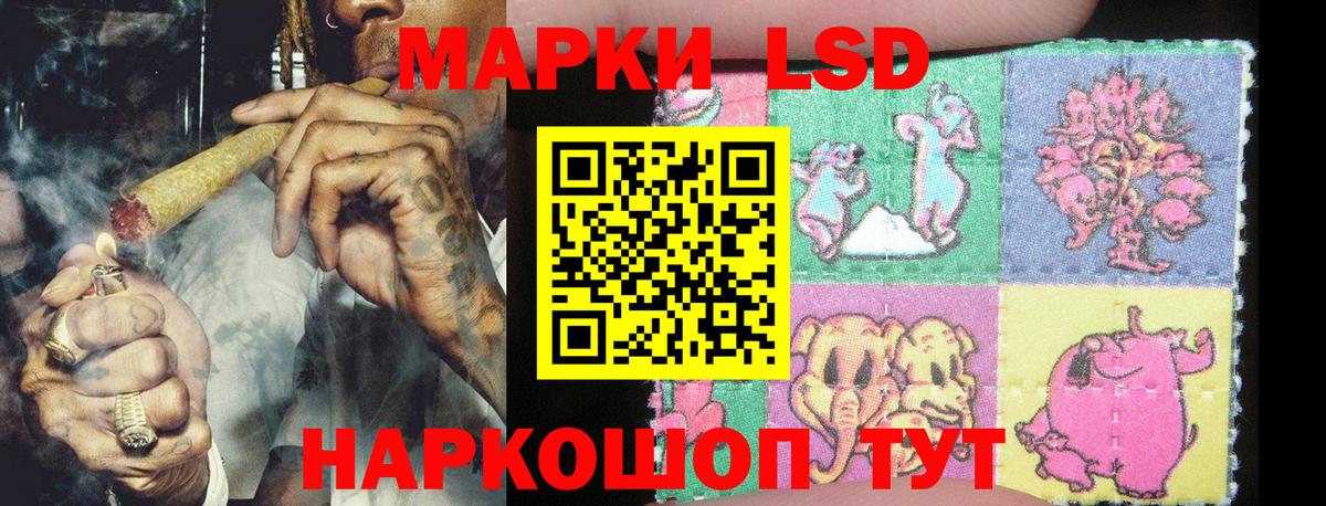 Марки N-bome 1,5мг  Вход с VPN  Сунжа 