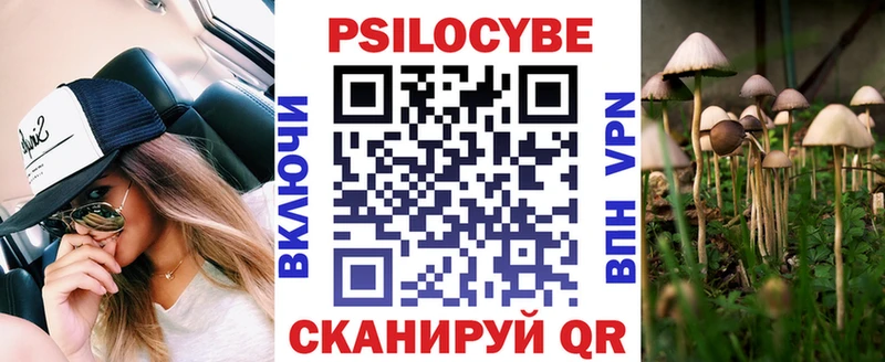 darknet клад  Сунжа  Псилоцибиновые грибы MAGIC MUSHROOMS 