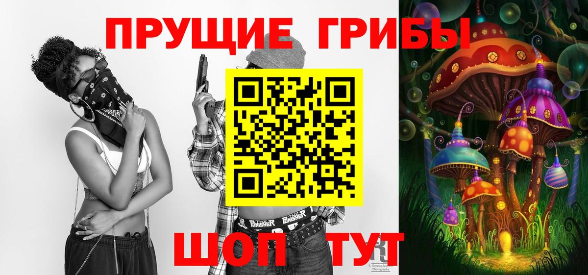 Сунжа  цена наркотик  Вход с VPN  Псилоцибиновые грибы Magic Shrooms 