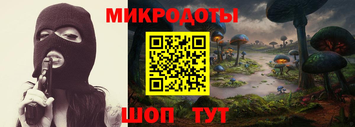 сколько стоит  Сунжа  Галлюциногенные грибы GOLDEN TEACHER  Галлюциногенные грибы прущие грибы 